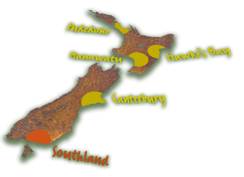 Harvest Fresh Growing Onions and Carrot Regions of New Zealand